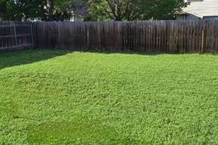 1127 Stone Arch, New Braunfels, TX 78130 - Photo 6