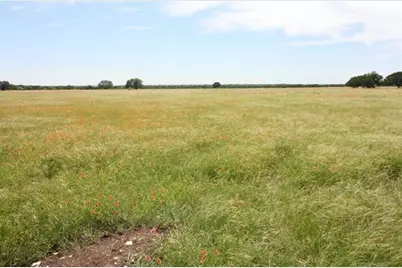 1115 Tract 2 - County Road 204, Burnet, TX 78611 - Photo 4