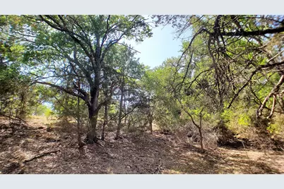 650 Beauchamp Road, Dripping Springs, TX 78620 - Photo 10