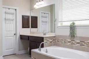 717 Blue Agave Ln, Georgetown, TX 78626 - Photo 12