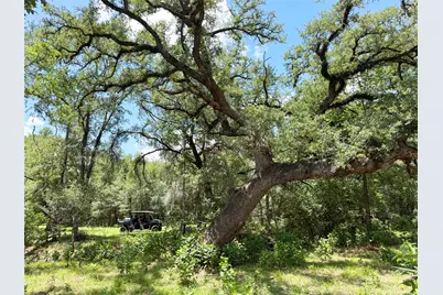 141 Grassyville Road, Paige, TX 78659 - Photo 30