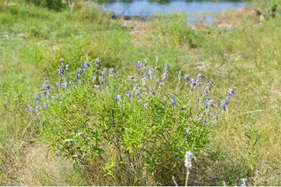 000 Watson-Yeary Road, Lampasas, TX 76550 - Photo 30
