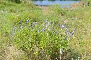 000 Watson-Yeary Rd, Lampasas, TX 76550 - Photo 30