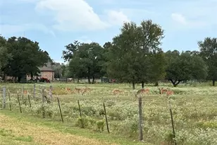 1102 Private Rd 2332, Giddings, TX 78942 - Photo 40