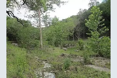 350 Bluff Road, Spicewood, TX 78669 - Photo 8