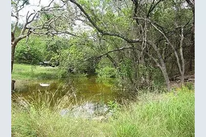 350 Bluff Road, Spicewood, TX 78669 - Photo 6