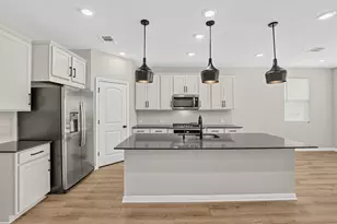 209 Swinging H Ln, Georgetown, TX 78633 - Photo 6