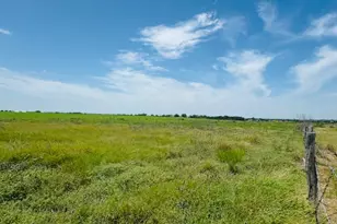 2334 Co Rd 464, Elgin, TX 78621 - Photo 28