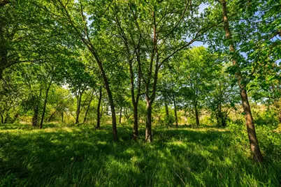 Lot 2 Byrd Ranch Road, Johnson City, TX 78636 - Photo 14