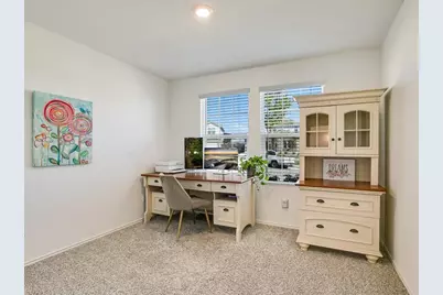 3201 Dusted Daisey Street, Pflugerville, TX 78660 - Photo 14