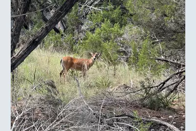 6800 Brewer Lane, Lago Vista, TX 78645 - Photo 4
