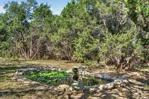 31887 Mirela Ann Ln, Dripping Springs, TX 78620 - Photo 30