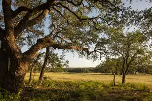 2427 Prochnow Rd, Dripping Springs, TX 78620 - Photo 1