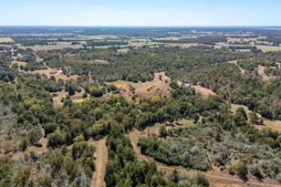 1949 County Road 347 Loop, Gause, TX 77857 - Photo 28