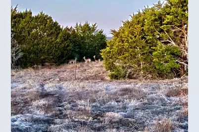 640 Sycamore Creek Drive, Dripping Springs, TX 78620 - Photo 16