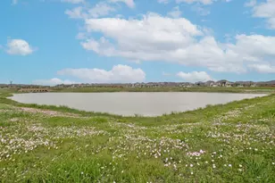 707 Eves Necklace Dr., Buda, TX 78610 - Photo 26