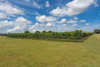 Tbd Wine Trail Drive, Johnson City, TX 78636 - Photo 30