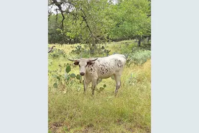 27846 Natural Bridge Caverns Rd, San Antonio, TX 78266 - Photo 10