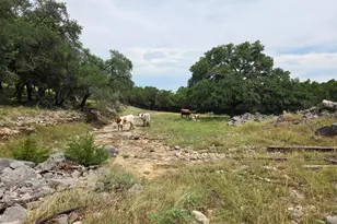 27846 Natural Bridge Caverns Rd, San Antonio, TX 78266 - Photo 6