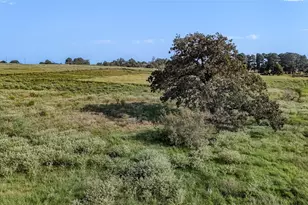 Tbd County Road 326 (Tract 3), Giddings, TX 78942 - Photo 1