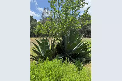 1101 Days End Road, Wimberley, TX 78676 - Photo 24