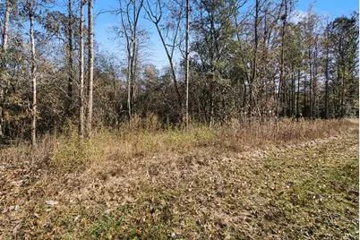 Tract 69 Northcrest Drive, Livingston, TX 77351 - Photo 4