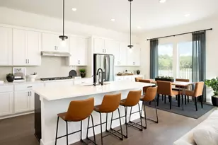 1408 Rambling Rose Rd, Austin, TX 78745 - Photo 8