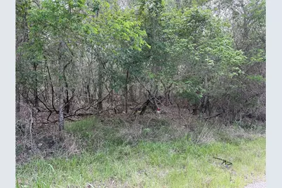 305 Nene Lane, Bastrop, TX 78602 - Photo 1