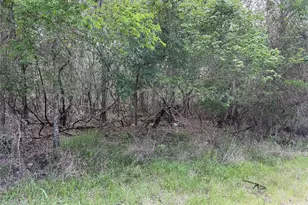 305 Nene Ln, Bastrop, TX 78602 - Photo 1