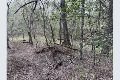 305 Nene Lane, Bastrop, TX 78602 - Photo 8