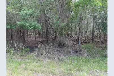 305 Nene Lane, Bastrop, TX 78602 - Photo 2
