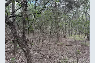305 Nene Lane, Bastrop, TX 78602 - Photo 6