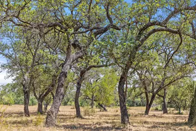 Lot 17 Stonegate Court, Johnson City, TX 78636 - Photo 12