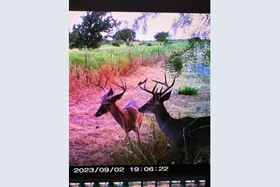 0 US Hwy 183 N Highway, Lometa, TX 76853 - Photo 4