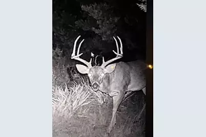 0 US Hwy 183 N Highway, Lometa, TX 76853 - Photo 2