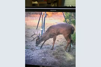 0 US Hwy 183 N Highway, Lometa, TX 76853 - Photo 1