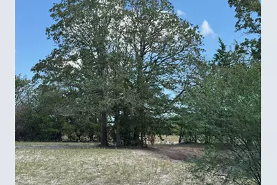 13115 Schoenemann Road, Carmine, TX 78932 - Photo 14