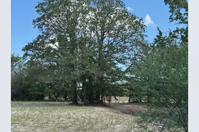 13115 Schoenemann Road, Carmine, TX 78932 - Photo 14