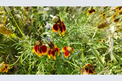 857 NW Dallas Josie Rd, Harper, TX 78631 - Photo 22