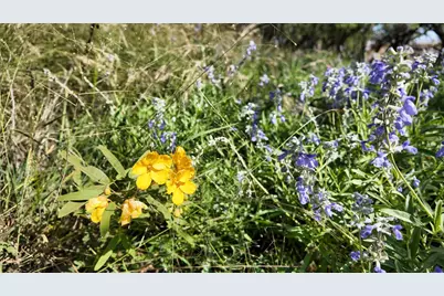 857 NW Dallas Josie Rd, Harper, TX 78631 - Photo 24