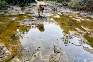 1930 S Rainbow Ranch Rd, Wimberley, TX 78676 - Photo 24
