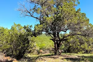1930 S Rainbow Ranch Rd, Wimberley, TX 78676 - Photo 28
