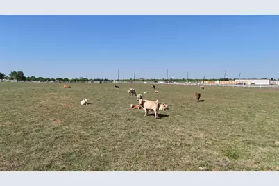 111 Lund Road, Elgin, TX 78621 - Photo 12