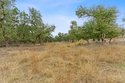 301 Lonesome Trail, Driftwood, TX 78619 - Photo 16