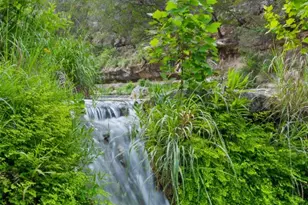 1601 Wild Basin Ledge, Austin, TX 78746 - Photo 34