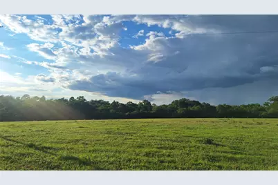 18155 Wellmann Road, Washington, TX 77880 - Photo 14