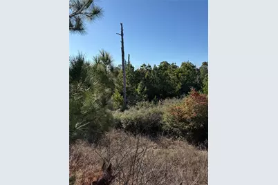 164 Manawianui Drive, Bastrop, TX 78602 - Photo 2