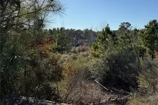 164 Manawianui Dr, Bastrop, TX 78602 - Photo 1