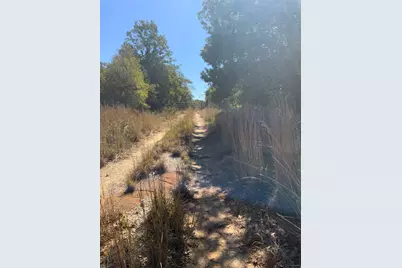 000 County Road 304, Lexington, TX 78947 - Photo 8