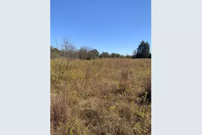 000 County Road 304, Lexington, TX 78947 - Photo 4